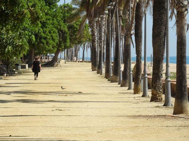 Duplex En Frente De La Playa Al Lado De Barcelona Apartment Canet De Mar Ngoại thất bức ảnh